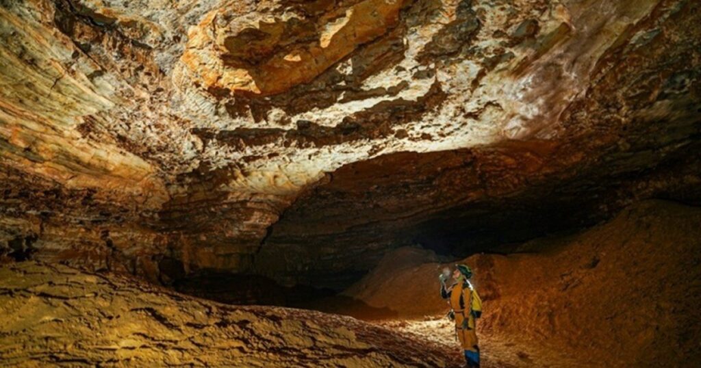 এশিয়ার দীর্ঘতম গুহায় ৫২টি জায়ান্ট পান্ডার জীবাশ্ম