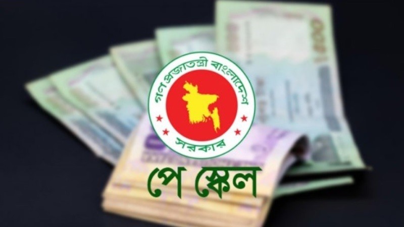 পে স্কেল বাস্তবায়নে ‘জোটবদ্ধ’ সরকারি চাকরিজীবীরা, আসছে একগুচ্ছ কর্মসূচি